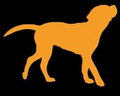 Category Icon