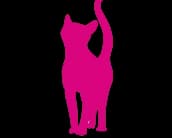 Category Icon